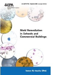 Ideal Best Practices Mold